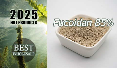 Best Fucoidan 85%