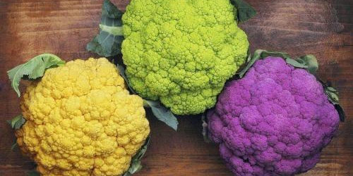 Characteristics of cauliflower