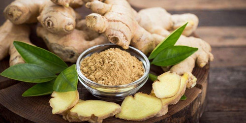 The efficacy and role of ginger