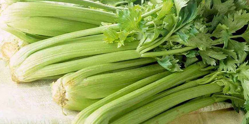 The efficacy and nutritional value of celery