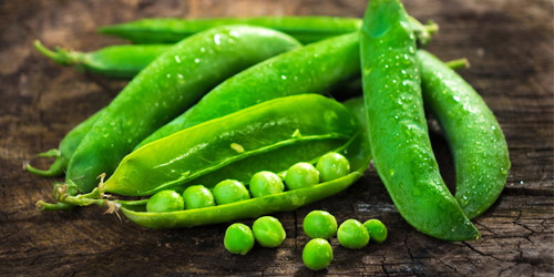 The efficacy and role of peas