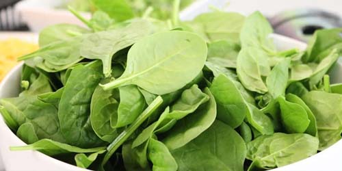 Spinach: A two-sided analysis of nutrition and food