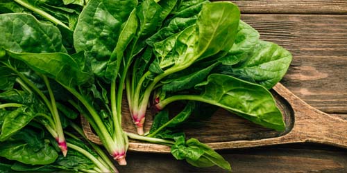 Spinach’s protein secret: a treasure trove for healthy eating