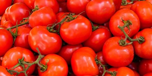 Nutritional value of tomatoes and its impact